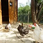Il Casale Di Sandra فندق مبيت وإفطار 4*