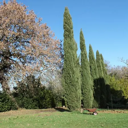 Il Casale Di Sandra Chiusi