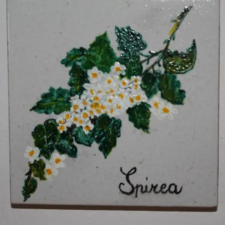 Bed and Breakfast Il Casale Di Sandra *