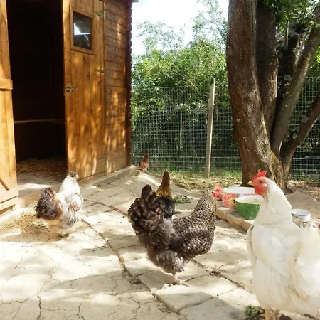 Il Casale Di Sandra Alojamento de Acomodação e Pequeno-almoço 4*