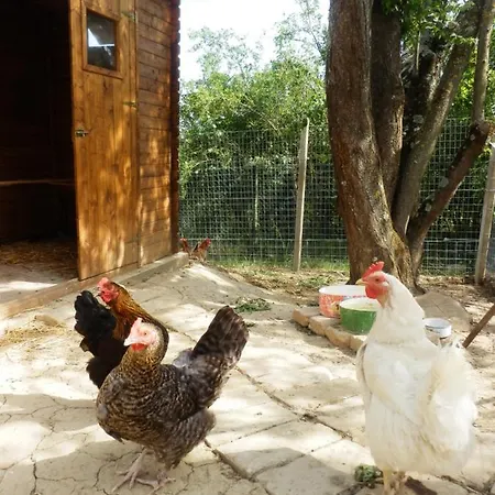 Alojamento de Acomodação e Pequeno-almoço Il Casale Di Sandra 4*