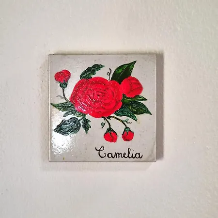 Il Casale Di Sandra 3* Chiusi